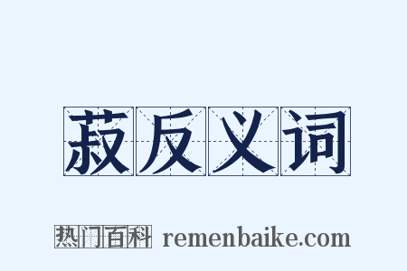 菽反义词是什么意思的图片